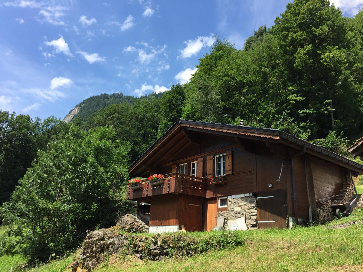 Chalet Julian Lütschenthal 外观 照片